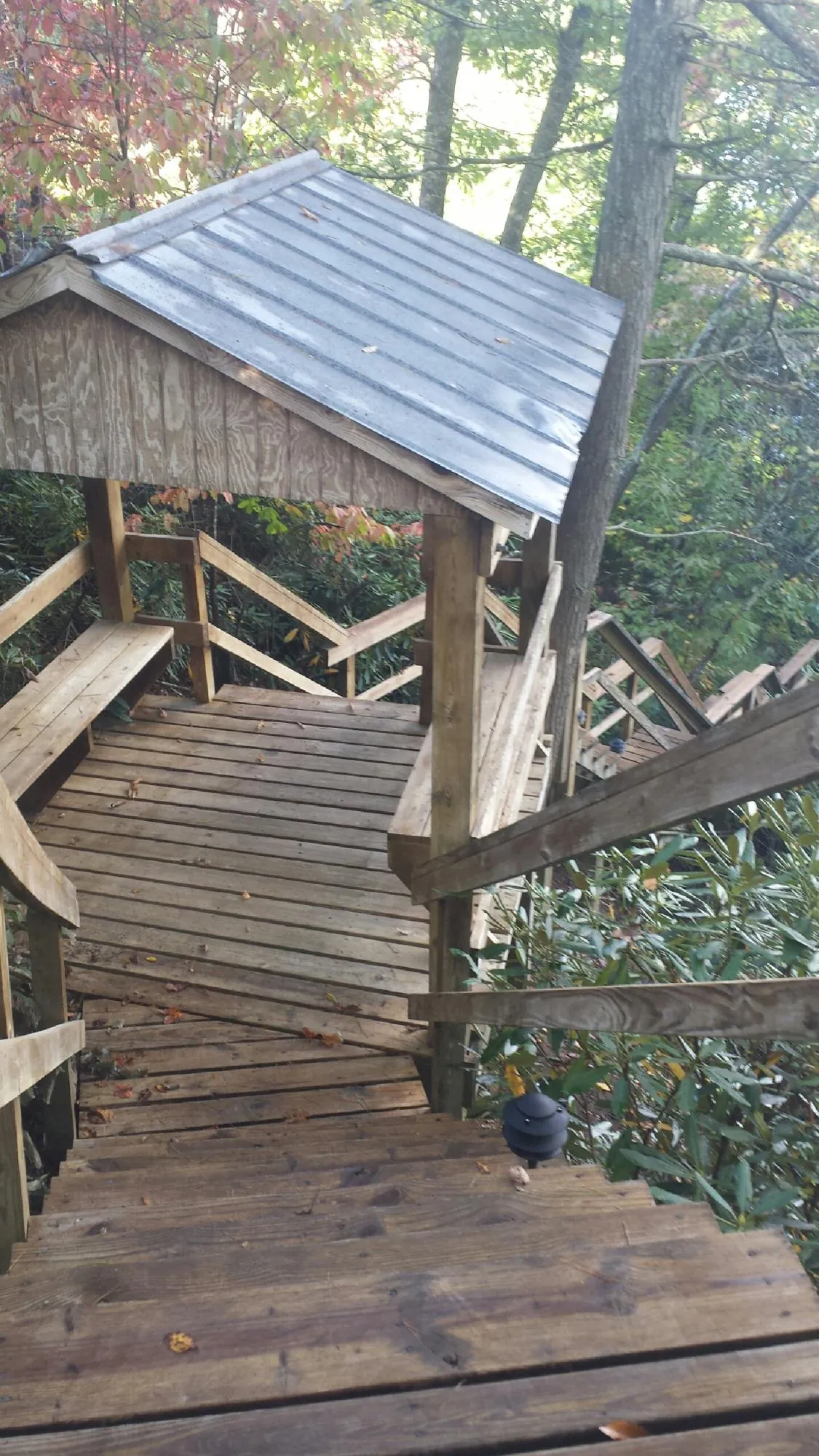 Metal roofed shelter over wooden steps on a wooded walkway — Skylight Repair & Installation work by our crew in Dunedin