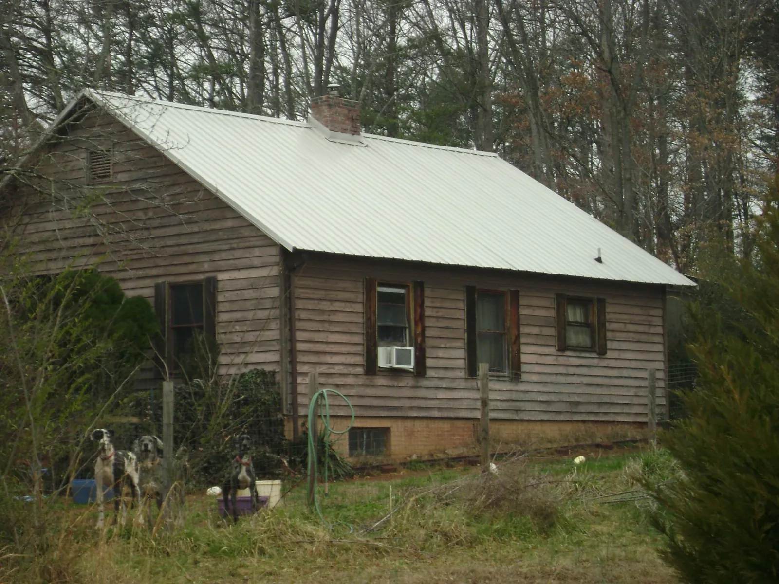 White metal roof on an old wood sided farmhouse, from a Asphalt Shingle Roof Repair job in Dunedin
